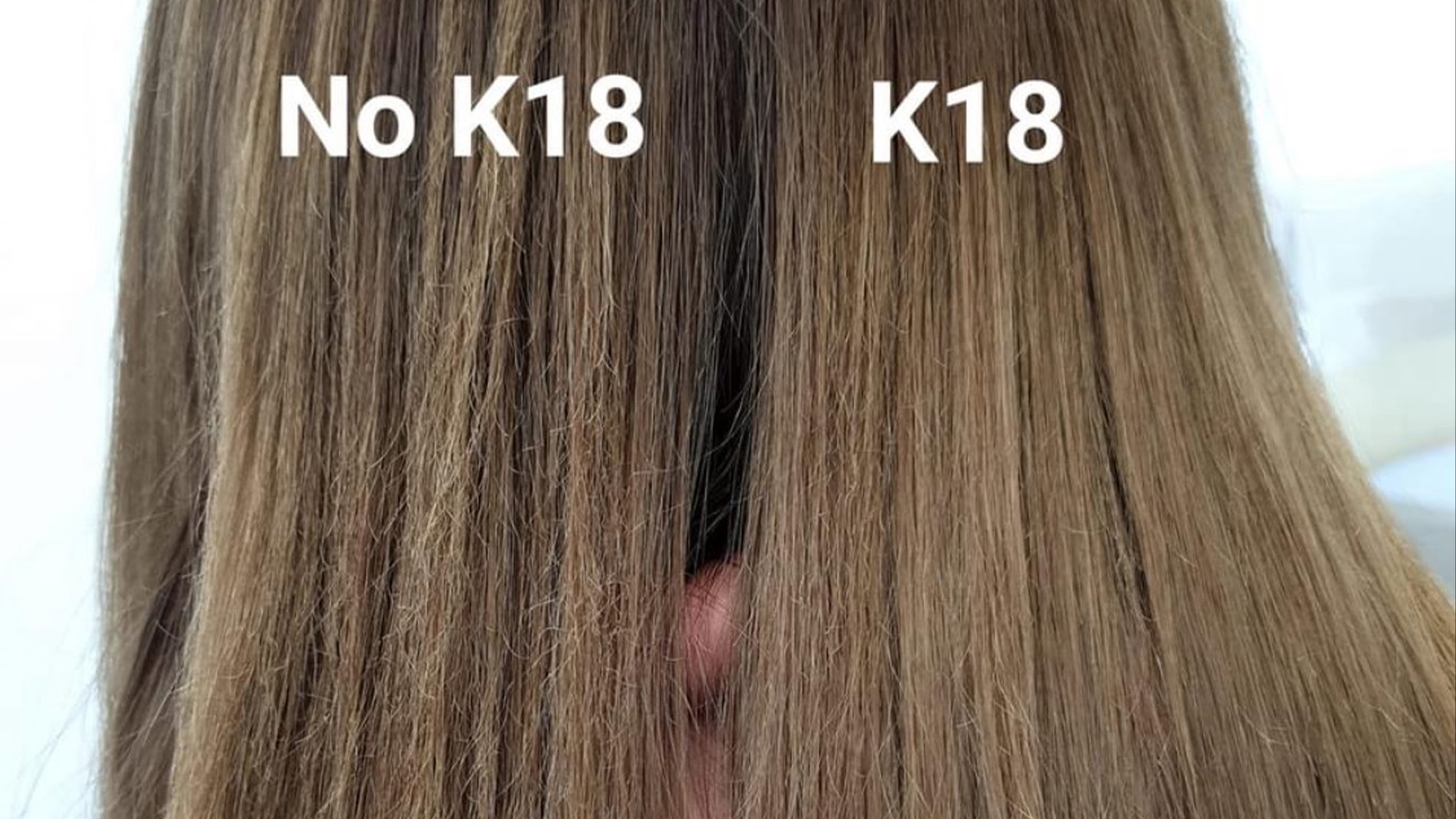 no k18 vs k18 (1)