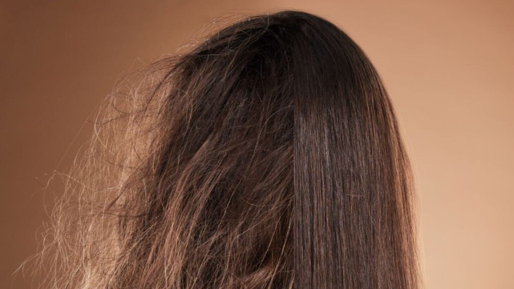 Back on woman's head with half straight and neat and the other half a frizzy mess.